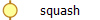 squash